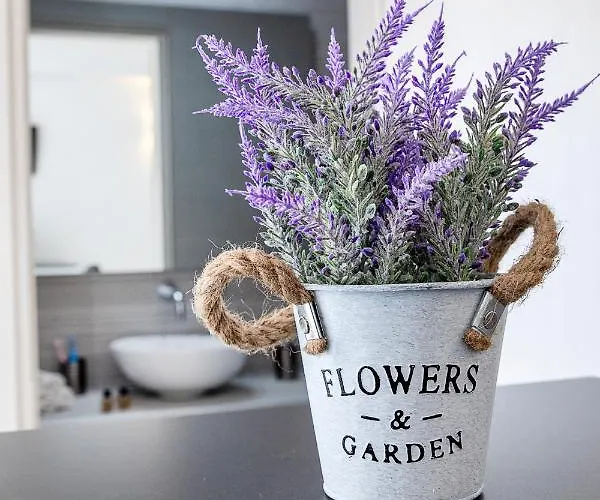 格罗索斯酒店 4* Páros